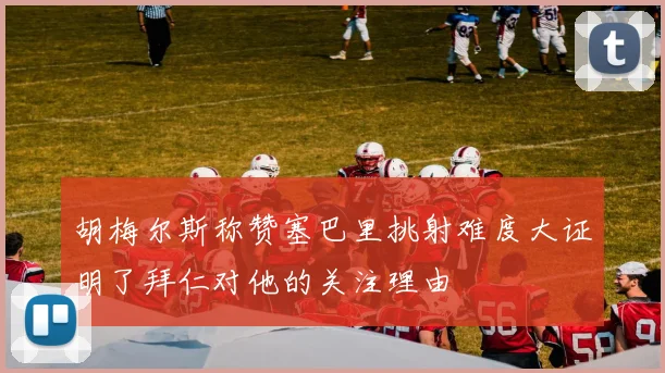胡梅尔斯称赞塞巴里挑射难度大证明了拜仁对他的关注理由