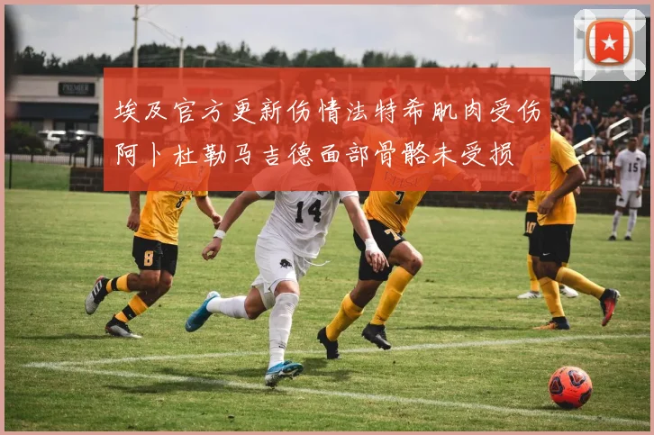 埃及官方更新伤情法特希肌肉受伤阿卜杜勒马吉德面部骨骼未受损